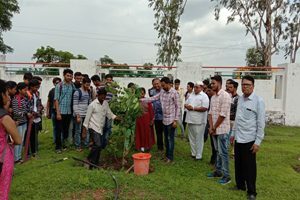 Image37-300x200