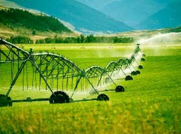 Agriculture Management Agriculture Management